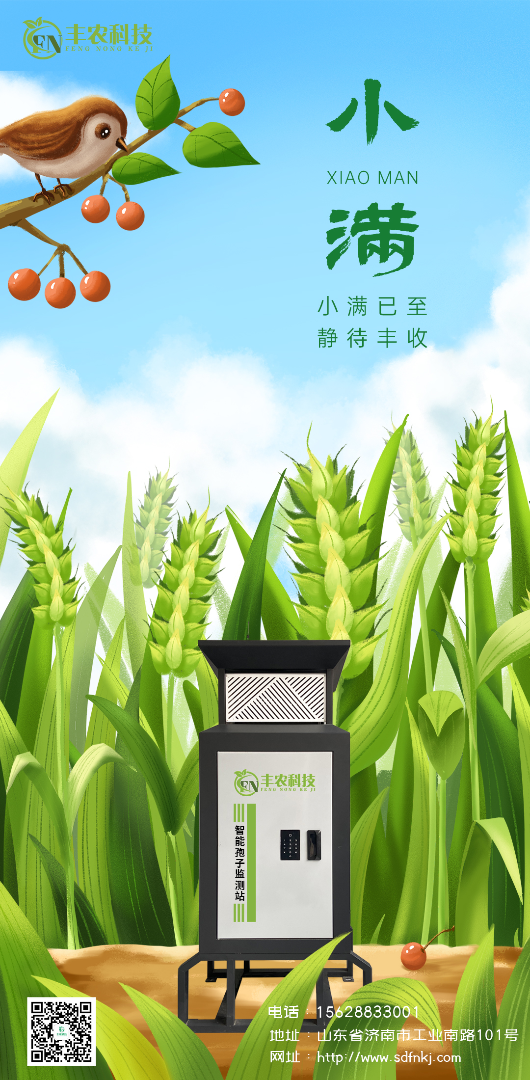 小满.jpg