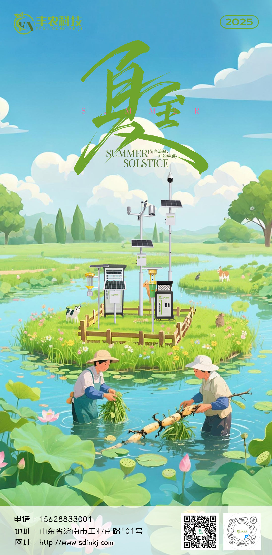 夏至--2025.6.jpg