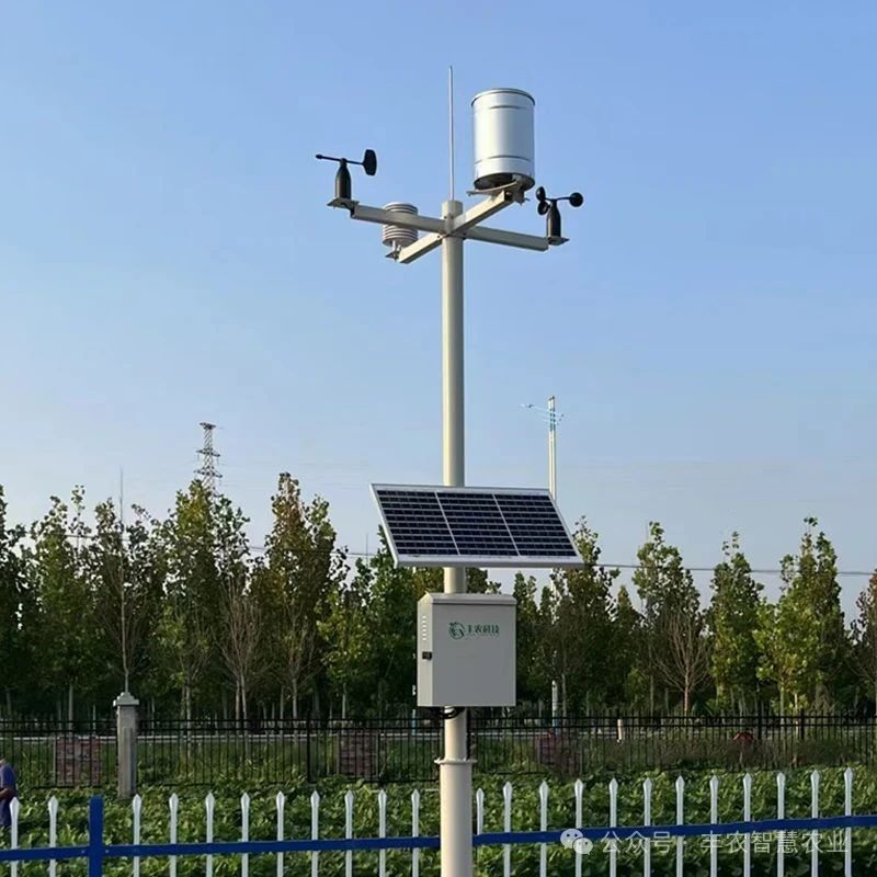 微信图片_2025-08-06_150706_138.jpg